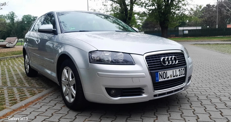 Audi A3 cena 16500 przebieg: 227000, rok produkcji 2005 z Żary małe 172